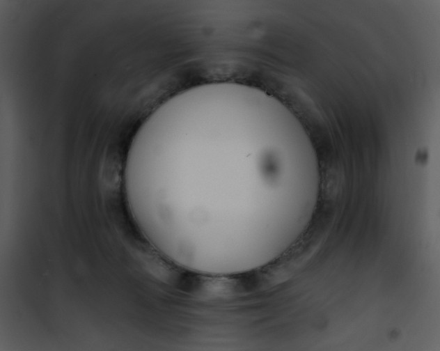 X0000101140226200807181302