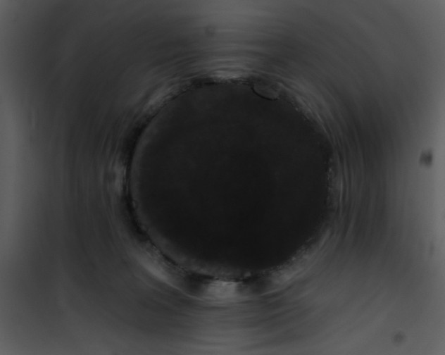 X0000101140227200807181302