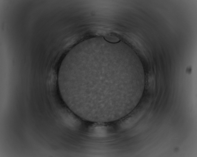 X0000101140228200807181302