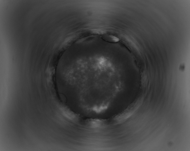 X0000101140229200807181302