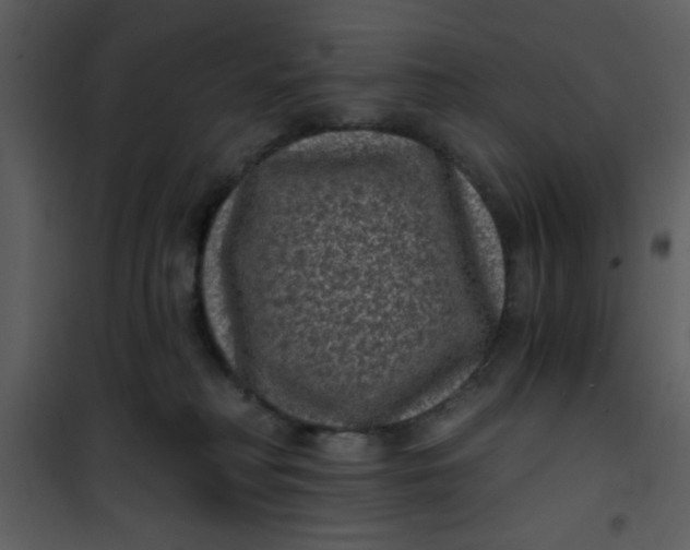 X0000101140230200807181302