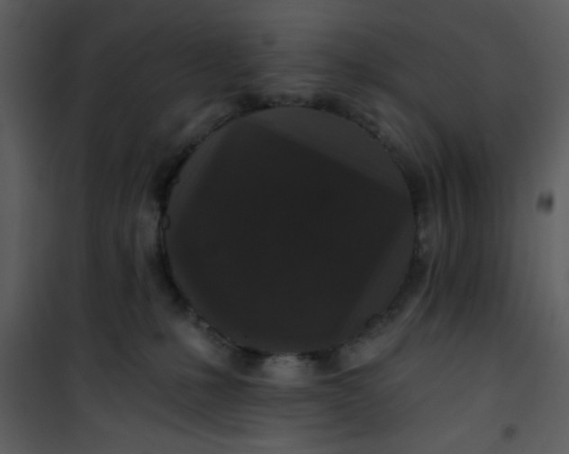 X0000101140231200807181302