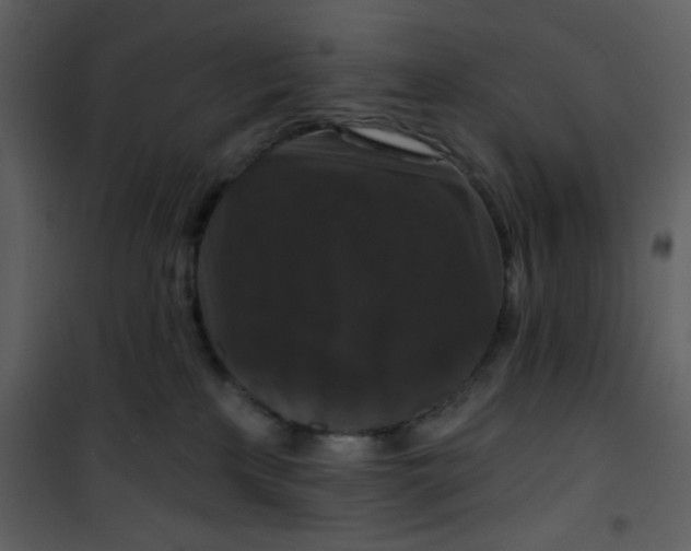 X0000101140233200807181302