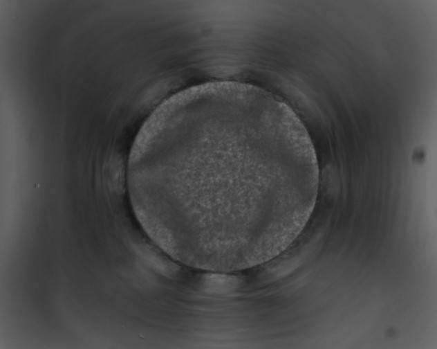 X0000101140234200807181302