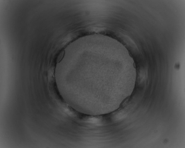 X0000101140236200807181302