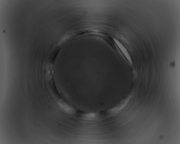 X0000101140237200807181302