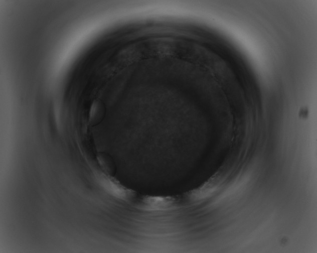 X0000101140239200807181302