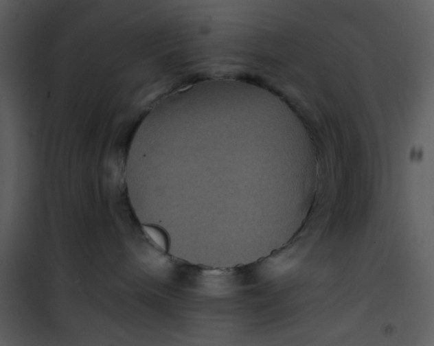 X0000101140240200807181302