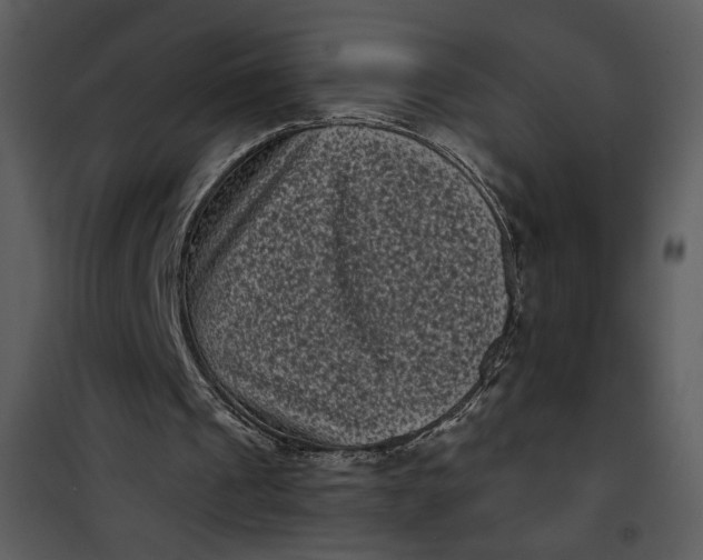 X0000101140241200807181301