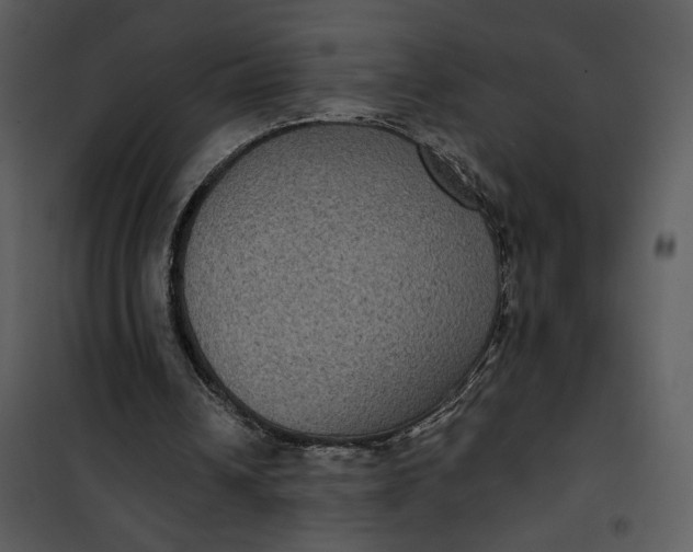 X0000101140242200807181301