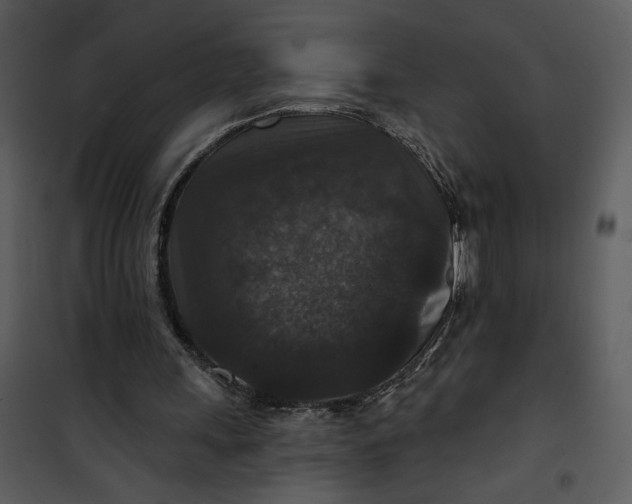 X0000101140243200807181301