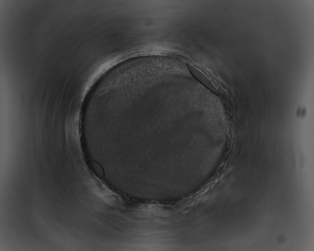 X0000101140244200807181301