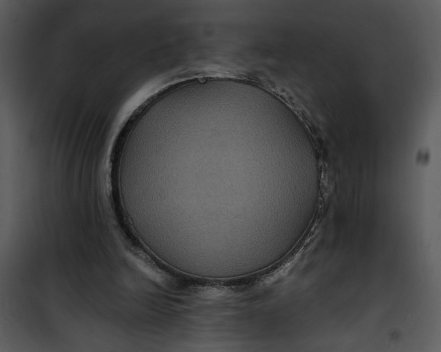 X0000101140246200807181301