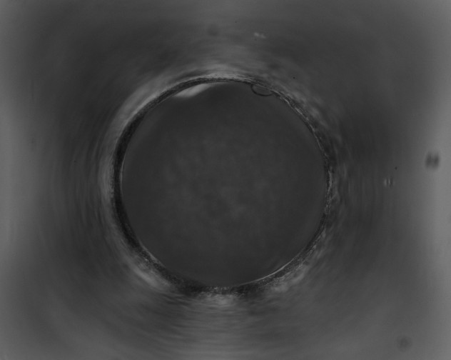 X0000101140247200807181301