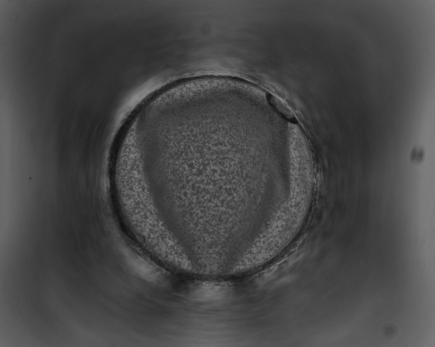 X0000101140248200807181301