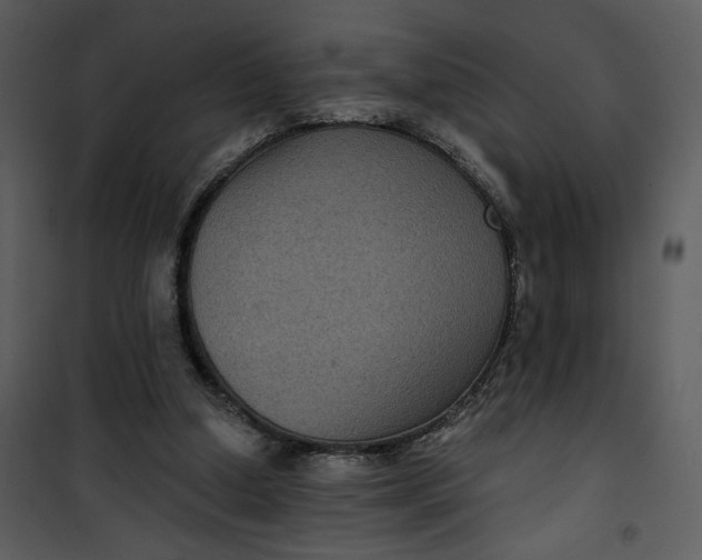 X0000101140250200807181301