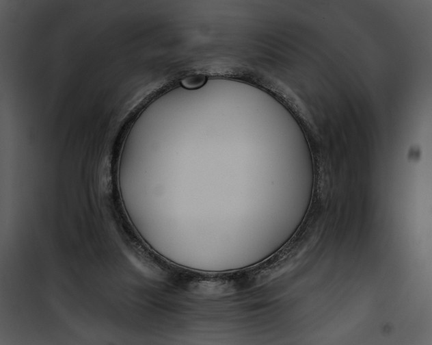 X0000101140251200807181302