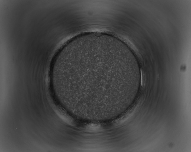 X0000101140252200807181302