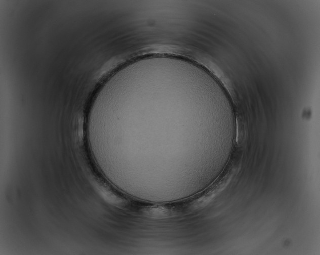 X0000101140253200807181302