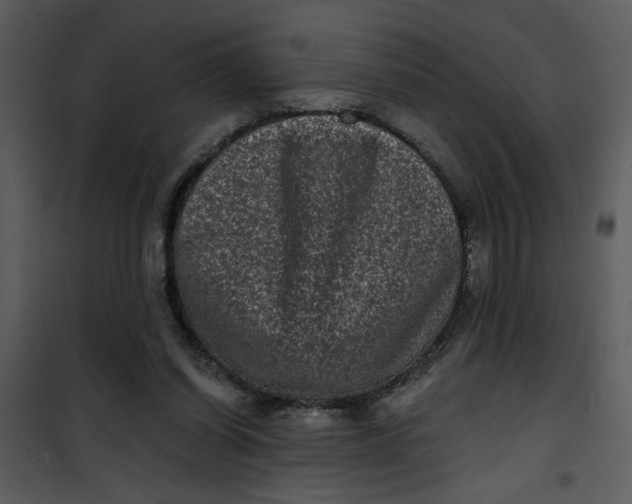 X0000101140254200807181302