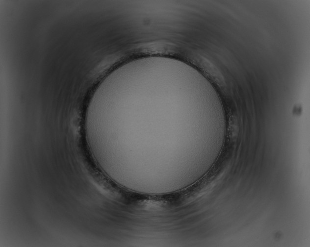 X0000101140255200807181302