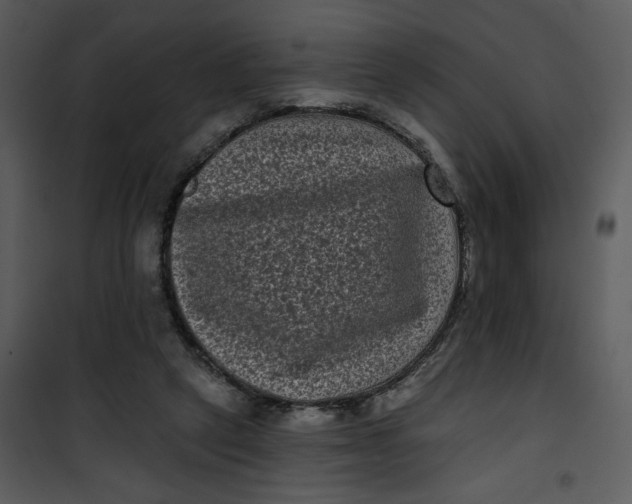 X0000101140257200807181302