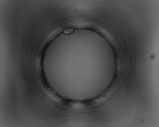 X0000101140258200807181302