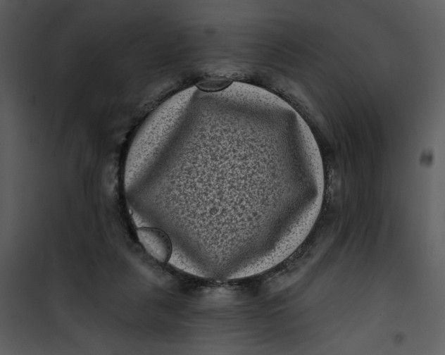 X0000101140259200807181302