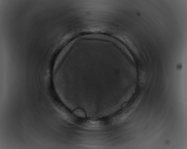 X0000101140260200807181302