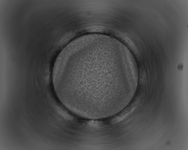 X0000101140261200807181302