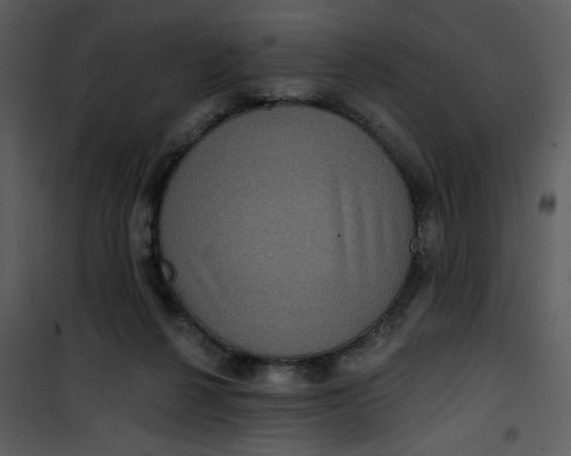 X0000101140264200807181302