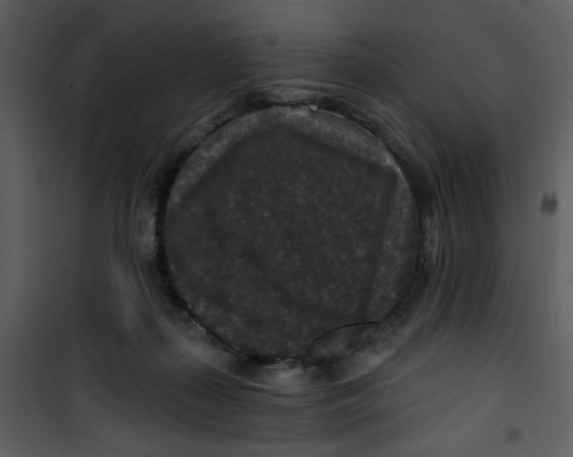 X0000101140267200807181302