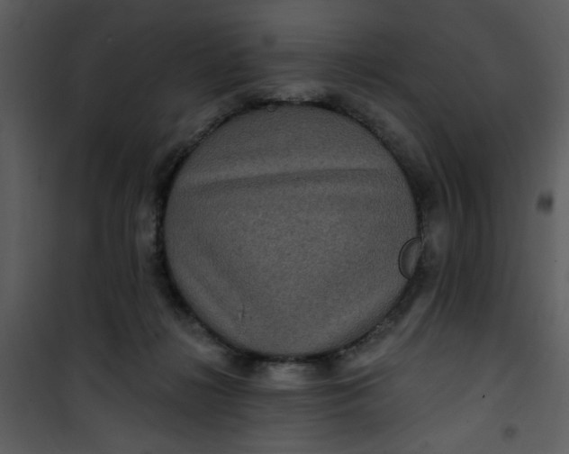 X0000101140268200807181302