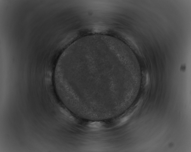 X0000101140269200807181302