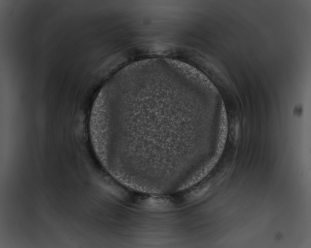 X0000101140270200807181302