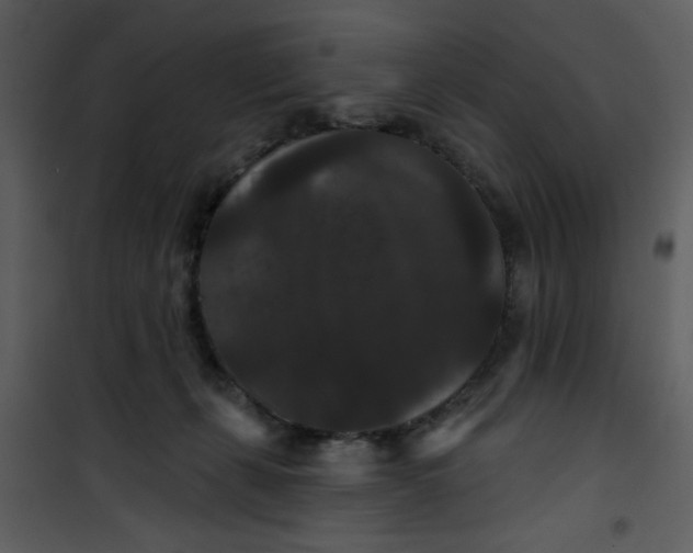 X0000101140271200807181302