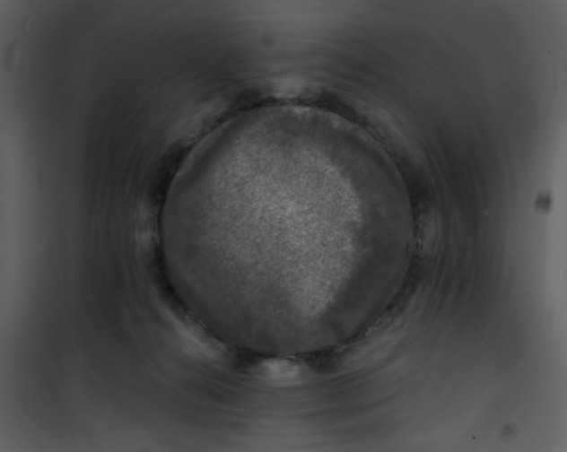 X0000101140272200807181302