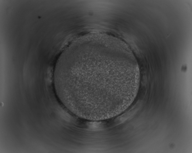 X0000101140273200807181302