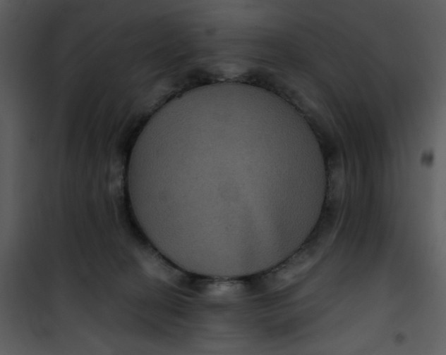 X0000101140274200807181302