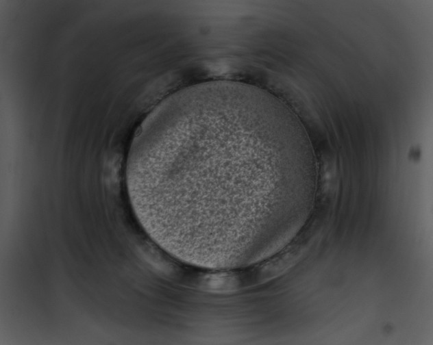 X0000101140275200807181302