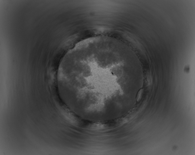 X0000101140276200807181302