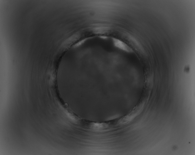 X0000101140277200807181302