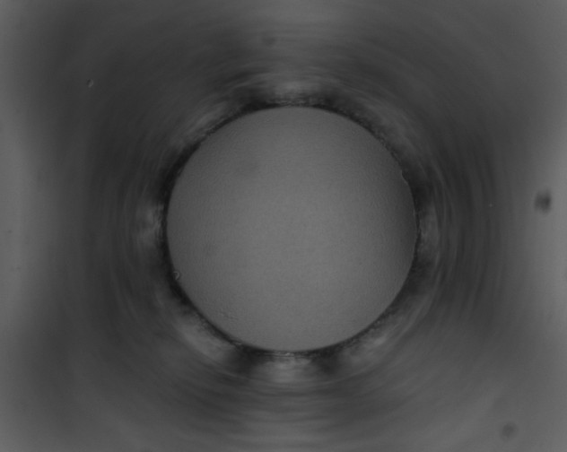 X0000101140278200807181302