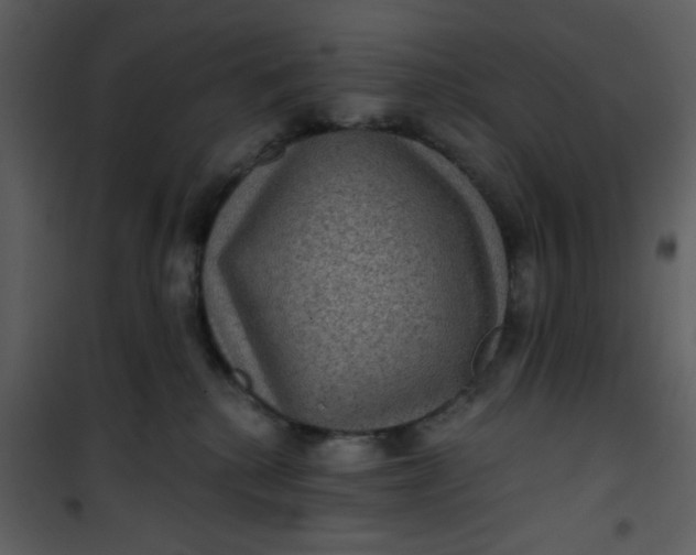 X0000101140280200807181302