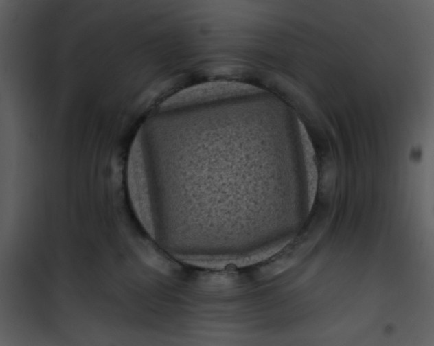 X0000101140282200807181302