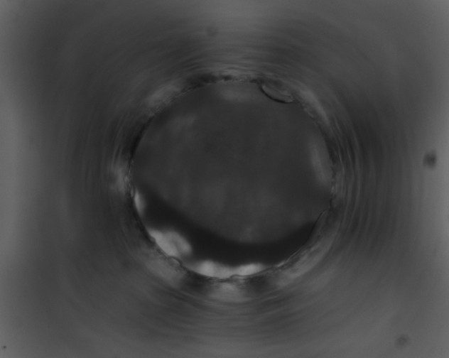 X0000101140285200807181302