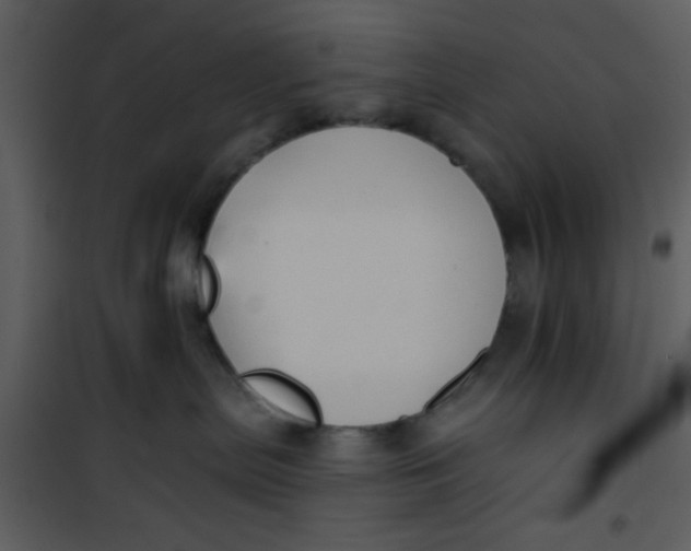 X0000101140287200807181302