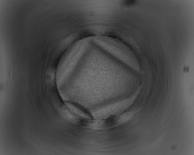 X0000101140288200807181302