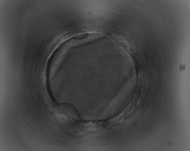 X0000101140290200807181301