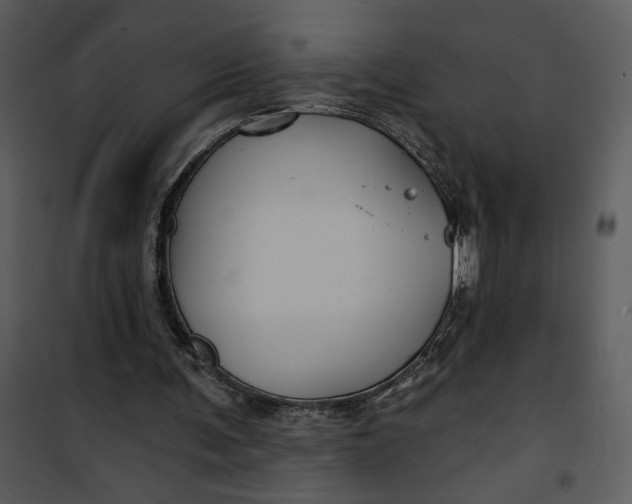 X0000101140291200807181301